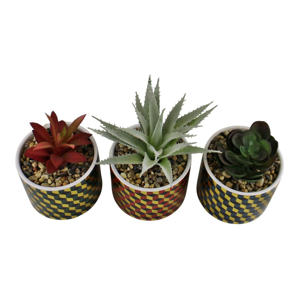 Set of 3 Succulents In Ceramic Pots With A Cubic Design Geko Products