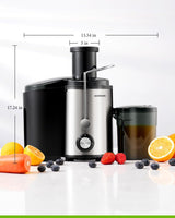 Stainless Steel Juicer Machine with Fruit and Vegetable Juices on a White Background