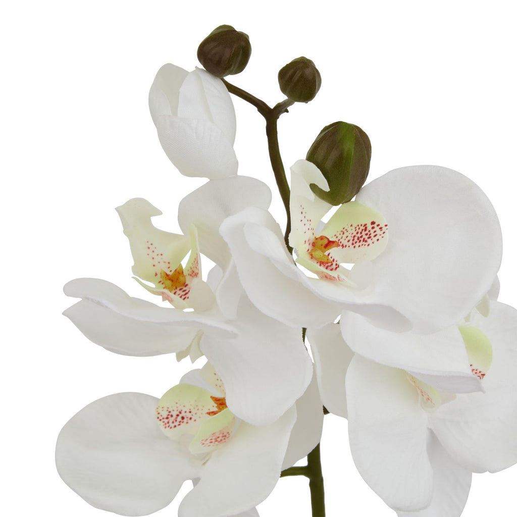 Shades 4 Seasons Butterfly Orchid Stem - Realistic Faux Stem Shades 4 Seasons