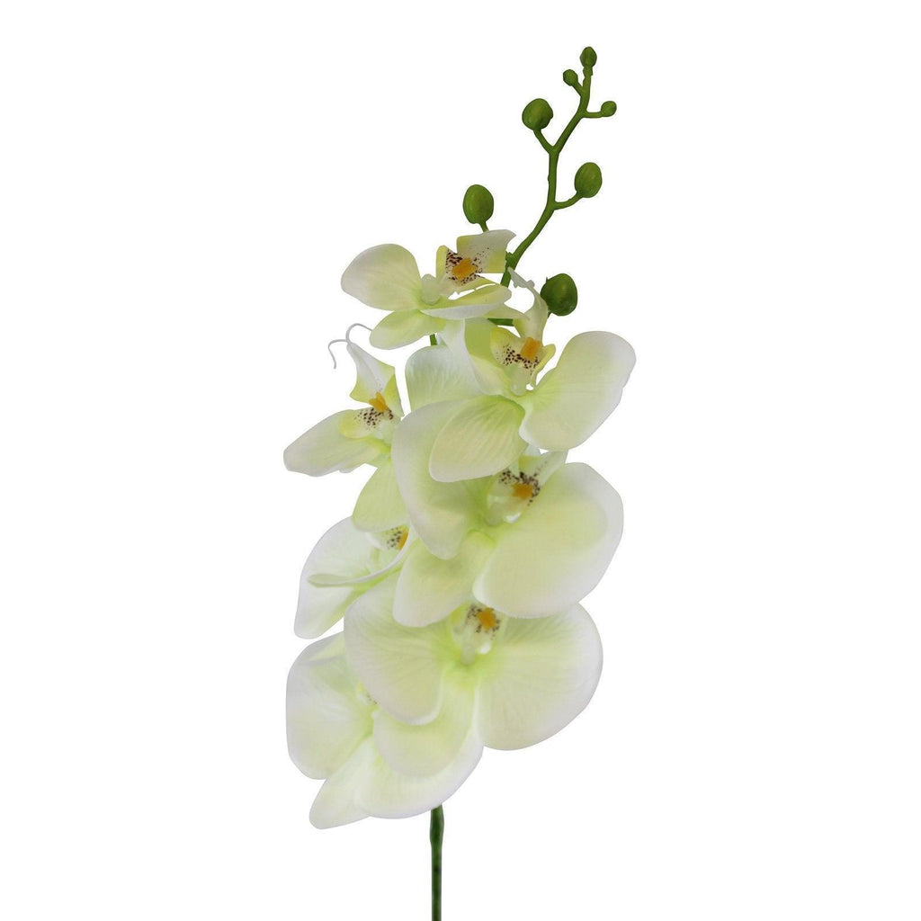 Single Orchid Spray, Cream Flowers, 85cm Geko Products