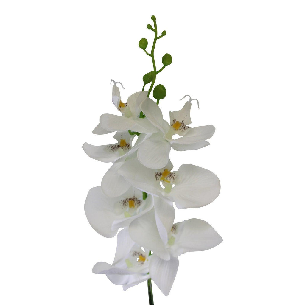 Single Orchid Spray, White Flowers, 85cm Geko Products