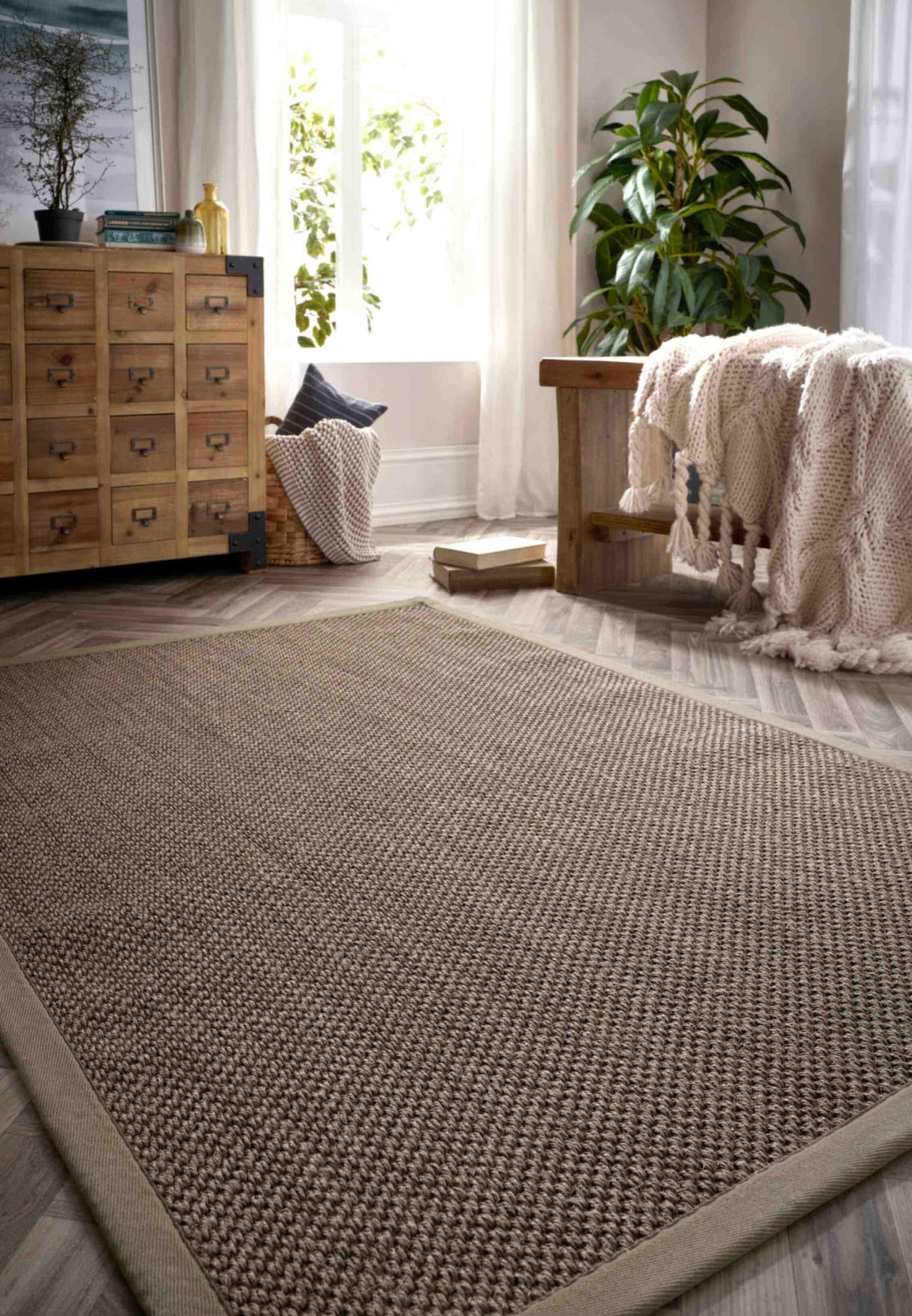 Stylish Sisal Rug in a modern living room with natural light and wooden decor