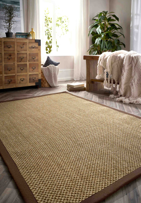 Stylish Sisal Rug with a Natural Weave and Brown Border in a Bright Living Room Setting