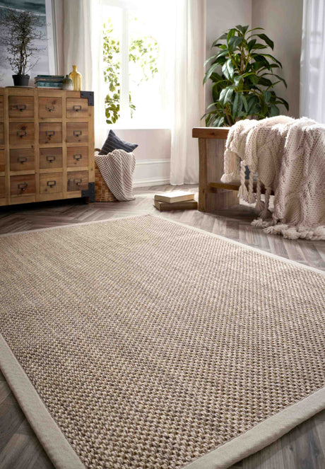 Natural Sisal Rug from The Rugs for Eco-Friendly Home Decor in Living Room Setting