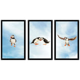 SunCatcher-UK Garden Mirror Set featuring three puffin designs in a black frame