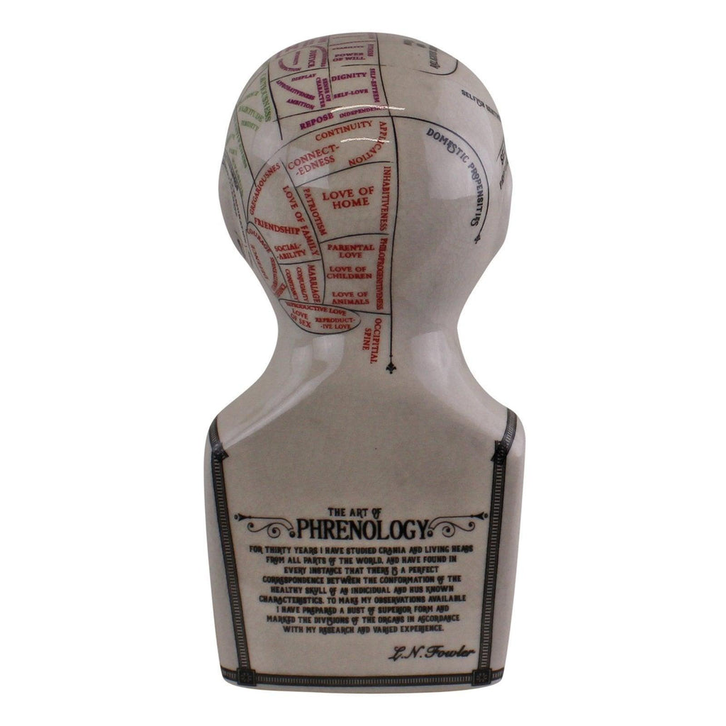 Small Ceramic Crackle Phrenology Head Geko Products