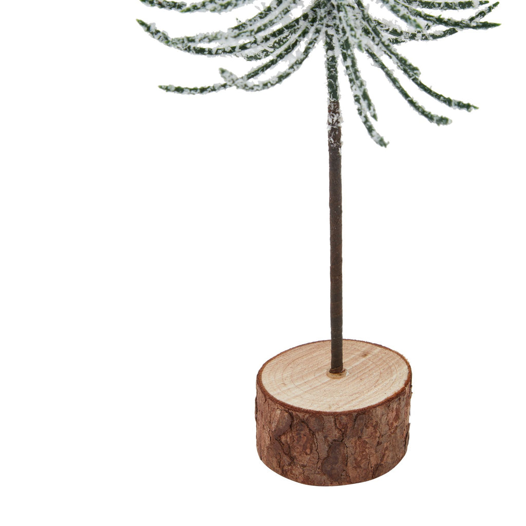 Small Snowy Spindle Tree In Wood Log Shades 4 Seasons