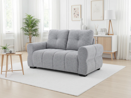 Comfortable grey 2-Seater Sofa with plush cushions, perfect for modern living rooms