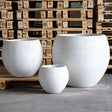 Set of three white Sphere Planters in varying sizes for showcasing indoor plants