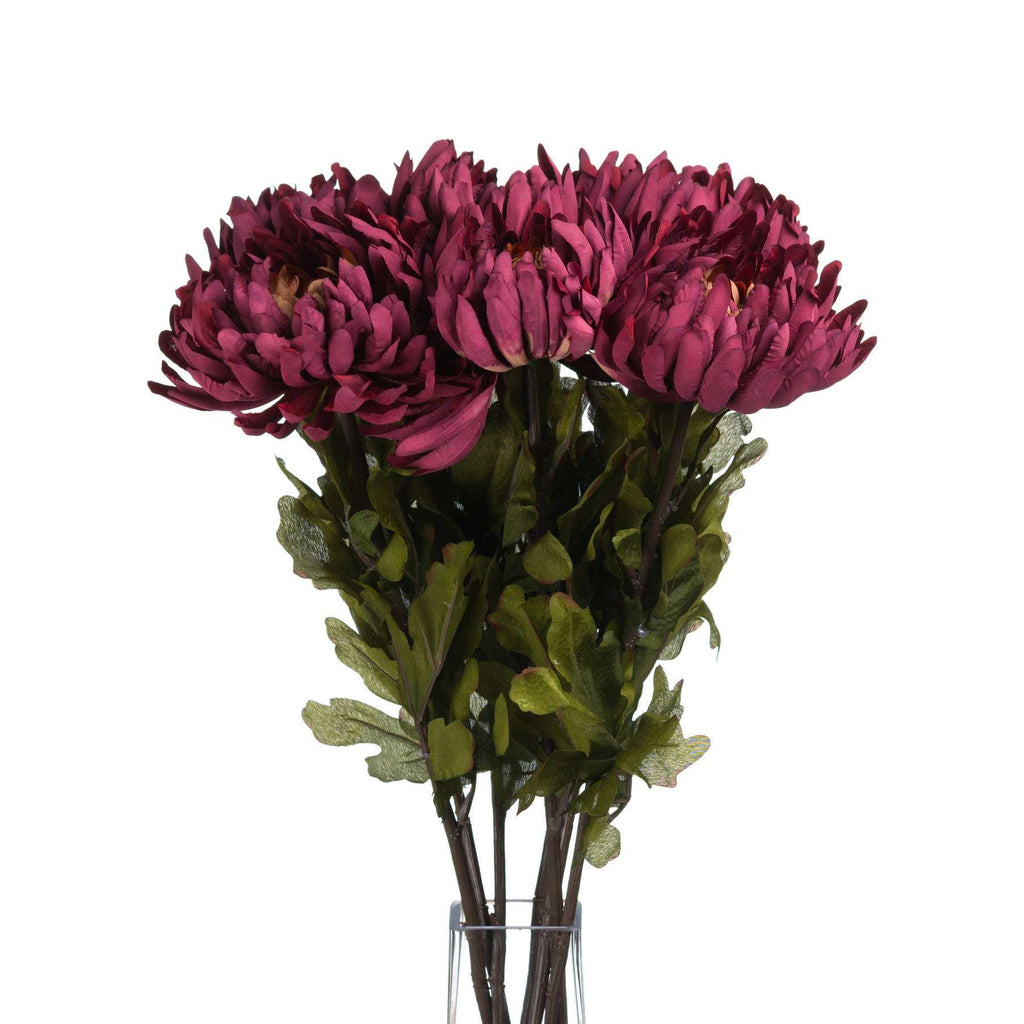 Shades 4 Seasons Spider Chrysanthemum Autumn Stem Shades 4 Seasons