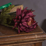 Shades 4 Seasons Spider Chrysanthemum Autumn Stem Shades 4 Seasons
