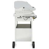 vidaXL Gas BBQ Grill with 4 Burners Silver Stainless Steel vidaXL