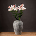 Shades 4 Seasons Stargazer Lily Single Stem Flower WHITE Shades 4 Seasons