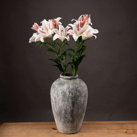 Shades 4 Seasons Stargazer Lily Single Stem Flower WHITE Shades 4 Seasons