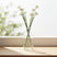 Shades 4 Seasons Statice Spray for Elegant Home Decor CREAM PLASTIC Shades 4 Seasons