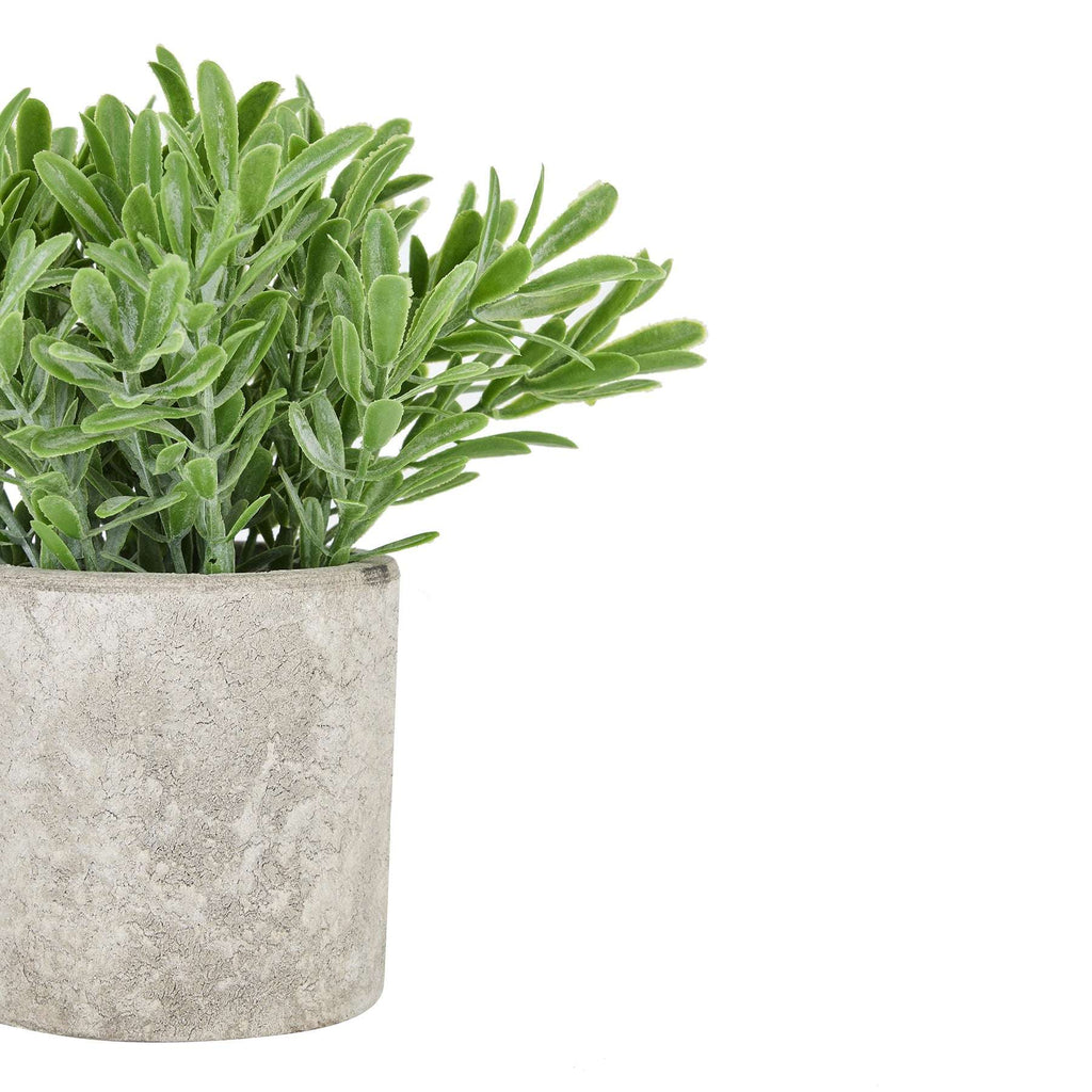 Shades 4 Seasons Artificial Plant in Stone Effect Pot Shades 4 Seasons