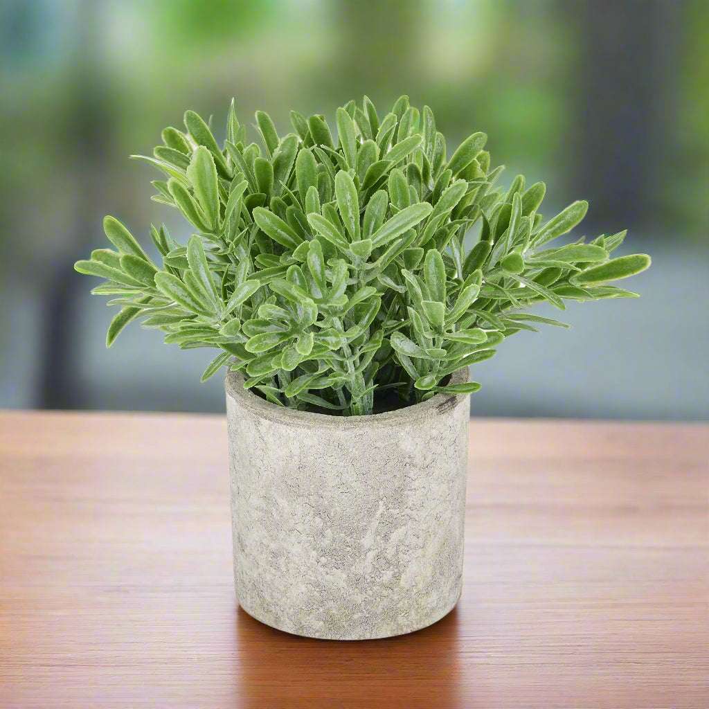 Shades 4 Seasons Artificial Plant in Stone Effect Pot GREEN PLASTIC Shades 4 Seasons