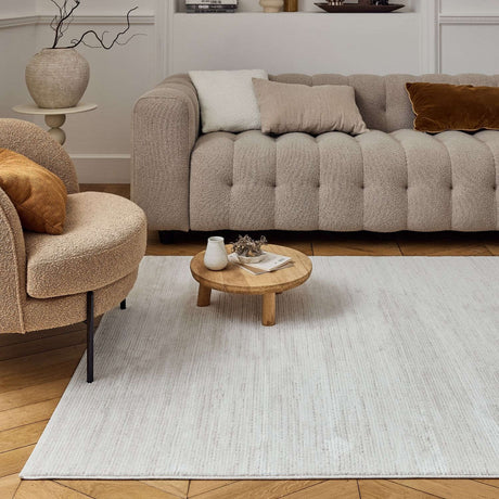 Modern striped rug in a cosy living room setting with a comfortable sofa and natural decor