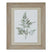 Watercolour Bracken Fern In Washed Wood Frame BROWN WOOD Shades 4 Seasons