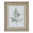 Watercolour Bracken Fern In Washed Wood Frame BROWN WOOD Shades 4 Seasons