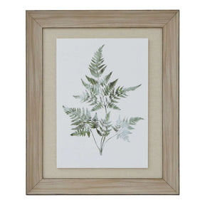 Watercolour Bracken Fern In Washed Wood Frame BROWN WOOD Shades 4 Seasons