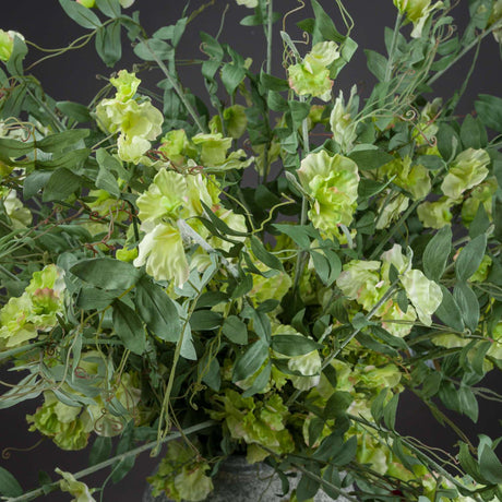 Shades 4 Seasons Sweet Pea Artificial Spring Stem Shades 4 Seasons