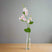 The Natural Garden Collection Pale Pink Sweetpea Stem PINK PLASTIC Shades 4 Seasons