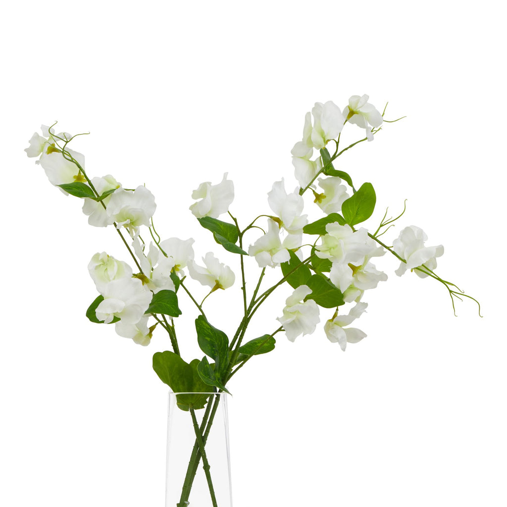 The Natural Garden Collection White Sweetpea Stem Shades 4 Seasons