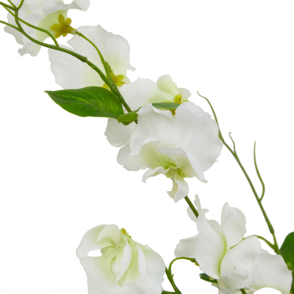 The Natural Garden Collection White Sweetpea Stem Shades 4 Seasons