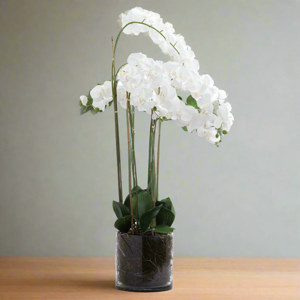 Large White Tall Orchid In Glass Pot WHITE PLASTIC Shades 4 Seasons