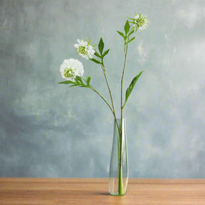 The Natural Garden Collection White Scabious Stem WHITE PLASTIC Shades 4 Seasons