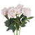 Shades 4 Seasons White Tea Rose Single Stem Flower PINK Shades 4 Seasons