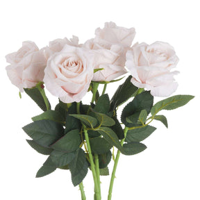 Shades 4 Seasons White Tea Rose Single Stem Flower PINK Shades 4 Seasons