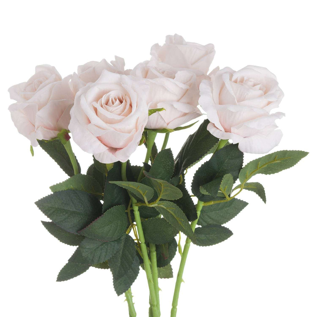 Shades 4 Seasons White Tea Rose Single Stem Flower PINK Shades 4 Seasons