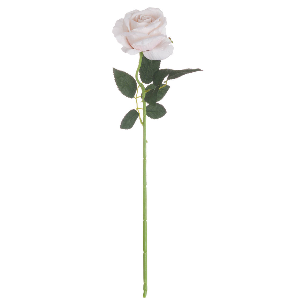 Shades 4 Seasons White Tea Rose Single Stem Flower Shades 4 Seasons