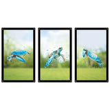SunCatcher-UK Garden Mirror Set featuring three sea turtles in vibrant colours against a serene background