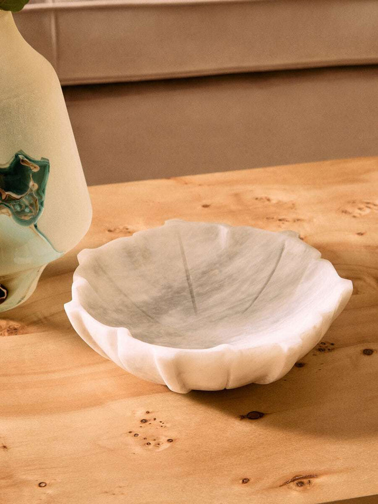 Mota Burl Wood Design Curved Coffee Table Orsina