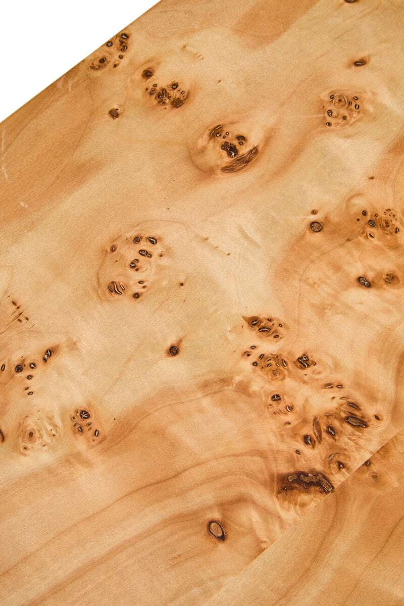 Mota Burl Wood Design Curved Coffee Table Orsina