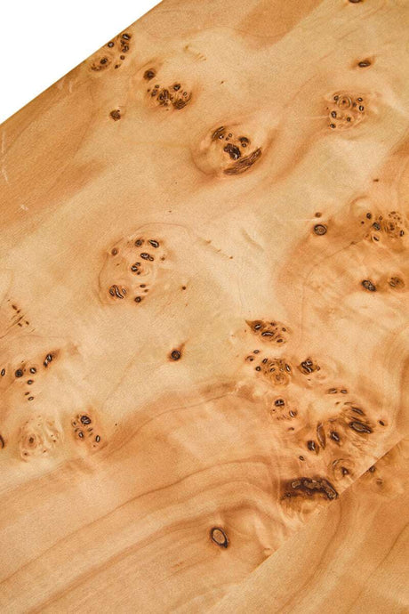 Mota Burl Wood Design Curved Coffee Table Orsina