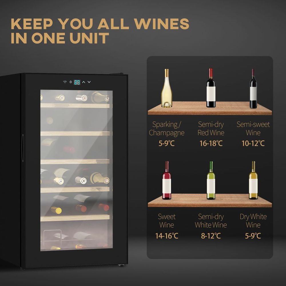 24 Bottles Wine Fridge with Glass Door Digital Touch Screen Control LED Light HOMCOM