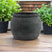 Shades 4 Seasons Rimmed Plant Pot - Textured Grey GREY CERAMIC Shades 4 Seasons
