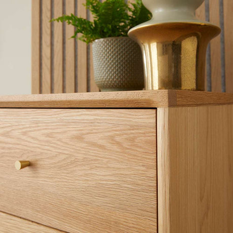 Fishe and Lilly Tallboy with smooth oak finish and simple design, featuring a spacious chest of drawers