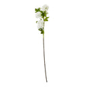 Shades 4 Seasons Viburnum Spray - Elegant Home Decor CREAM PLASTIC Shades 4 Seasons