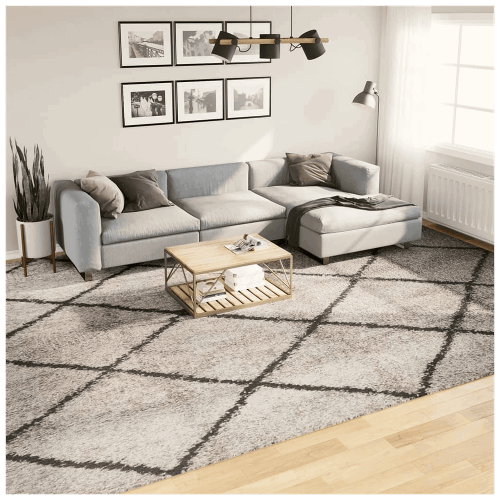 vidaXL Shaggy Rug PAMPLONA High Pile Modern Beige and Anthracite 300x400 cm vidaXL