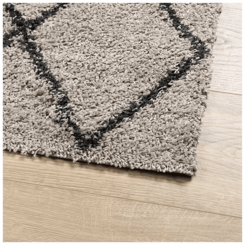 vidaXL Shaggy Rug PAMPLONA High Pile Modern Beige and Anthracite 300x400 cm vidaXL