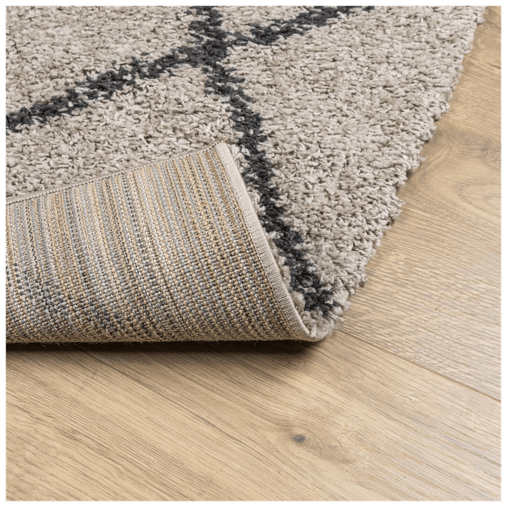 vidaXL Shaggy Rug PAMPLONA High Pile Modern Beige and Anthracite 300x400 cm vidaXL