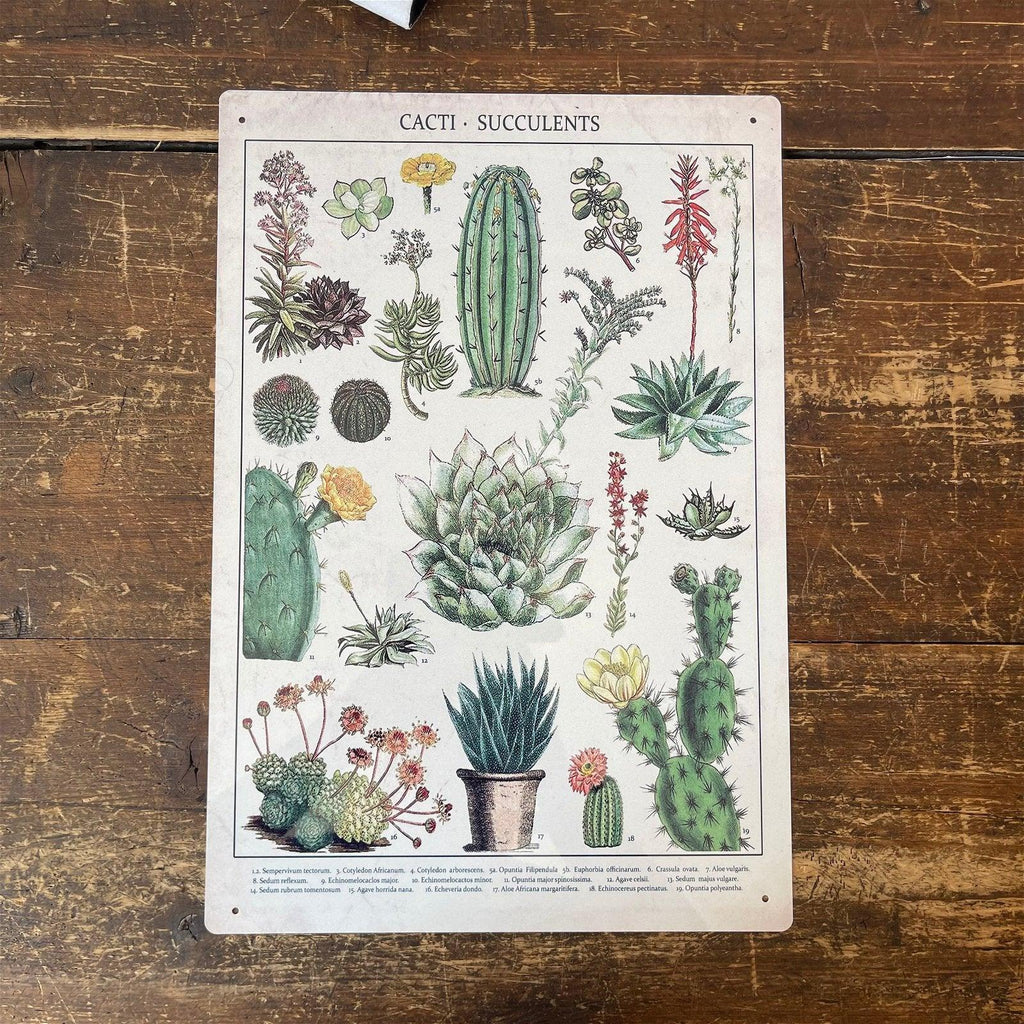 Vintage Metal Sign - Retro Cacti & Succulents Identification Picture Geko Products