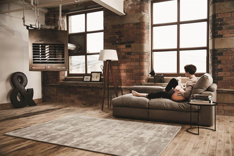 Stylish Viscose Rug in a modern living room with a sofa and large windows