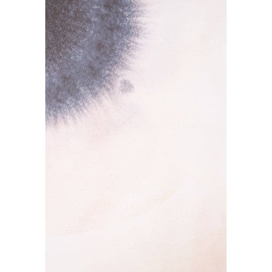 Orsina Wall Art for Stylish Home Decor Orsina