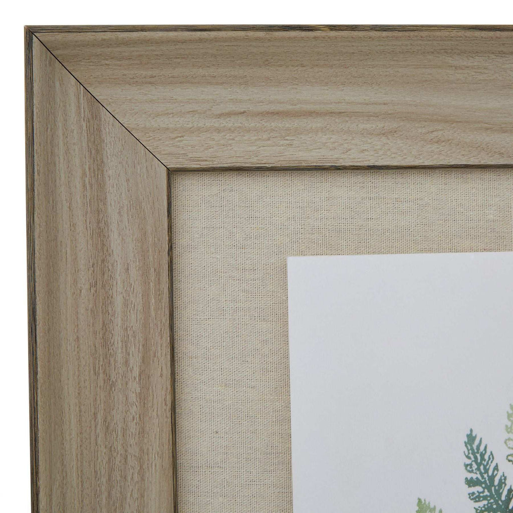 Watercolour Fern Duo In Washed Wood Frame Shades 4 Seasons